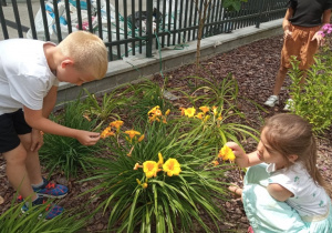 Przedszkolaki podziewają piękne kwiaty w ogrodzie.